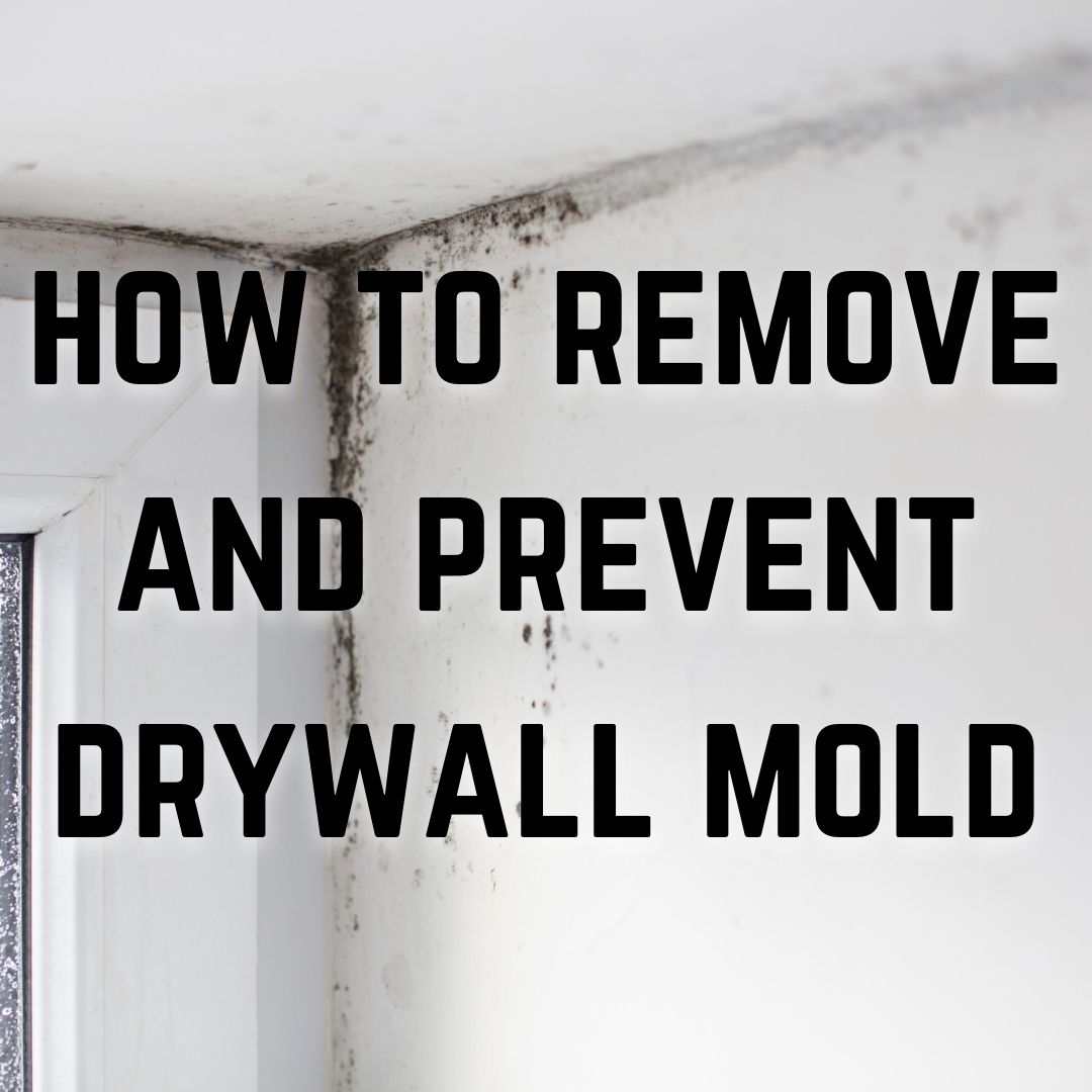 How to remove and prevent drywall mold